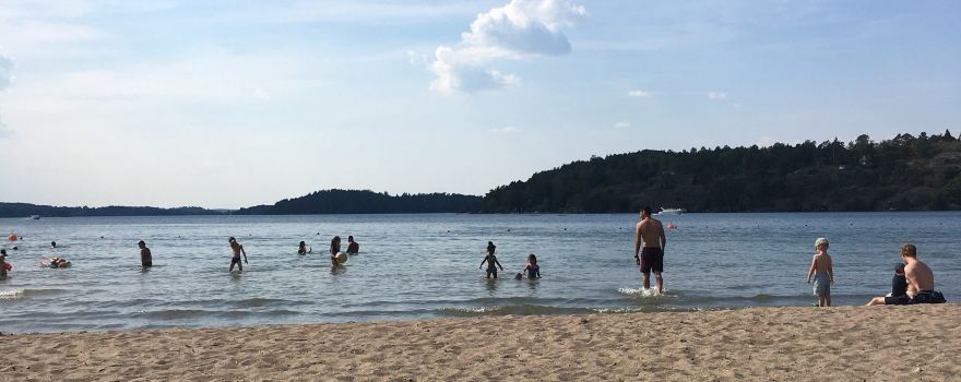 Skarholmen