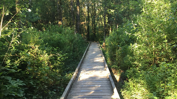 Spirit Trail