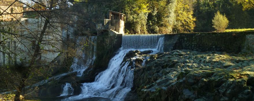 Salt del Moli Fondo