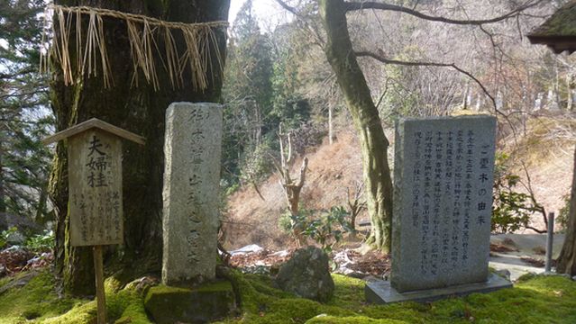 Iwamadera no Okatsura