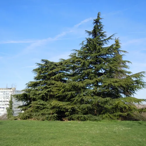 Parc des Beaumonts