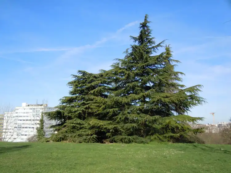 Hotels near Parc des Beaumonts