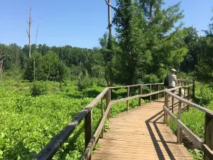 커튼우드 트레일 인 사우스캐롤라이나