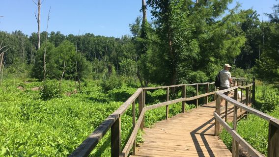 Cottonwood Trail in South Carolina