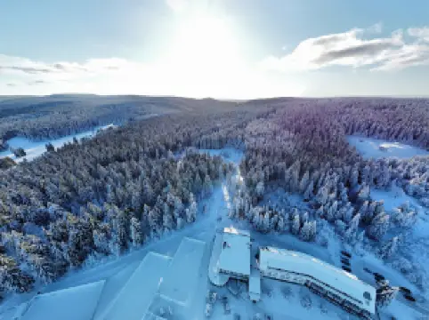 Rodel- & Skiberg "Alte Golfwiese"