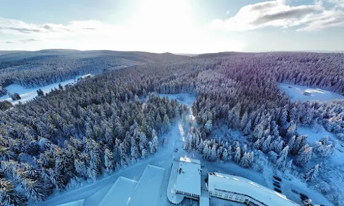 Rodel- & Skiberg "Alte Golfwiese"