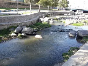 City Park