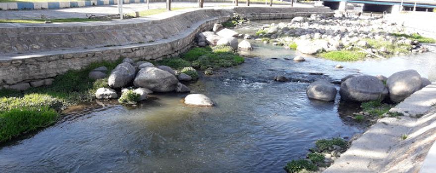 City Park