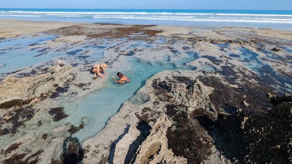 Coconut Well
