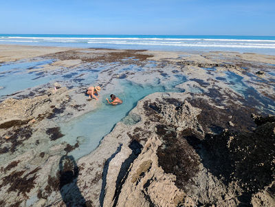 Coconut Well