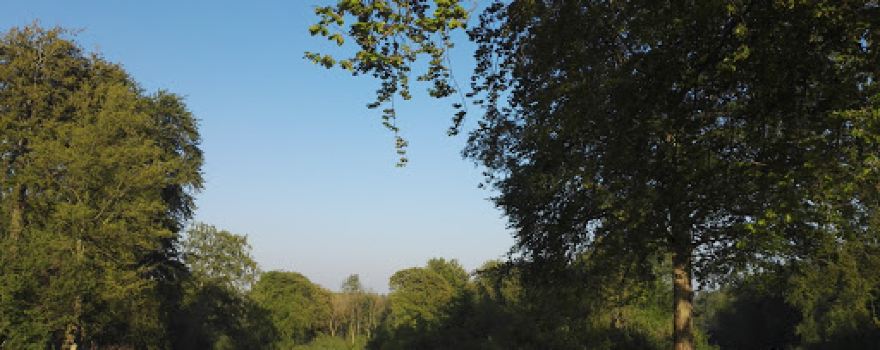 Parking Forêt de Guînes