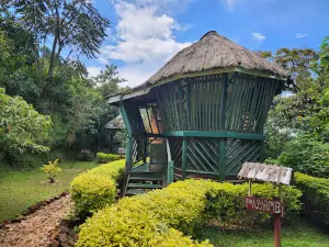 Bwindi Impenetrable Forest National Park