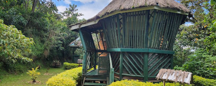 Bwindi Impenetrable Forest National Park