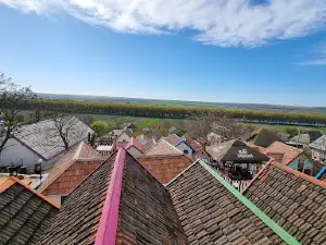 Orașul Caprelor “KOZY”