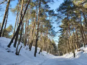 Plaża Jantar