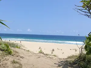 Pantai Pasir Putih Ujung Genteng
