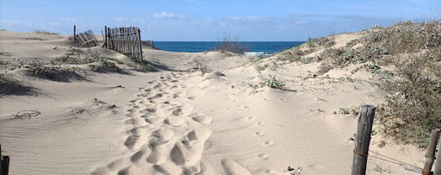 Spiaggia I Pini (Spiaggia Is Compingius o Is Compinxius)