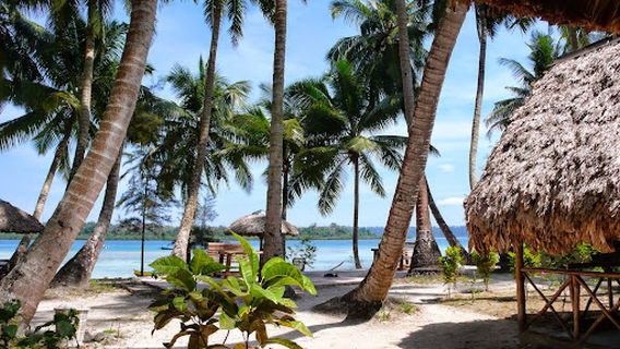 Havelock Island