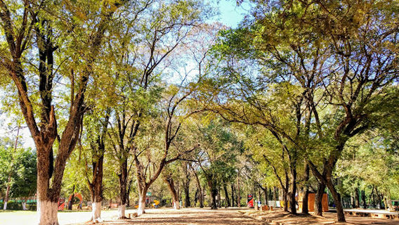 Asuncion