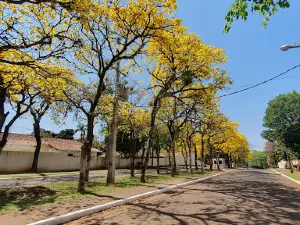 Plaza Canindeyu