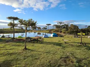Camping Terra de Gigantes