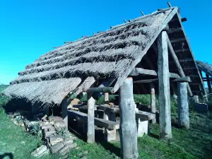 Grodzisko w Żmijowiskach