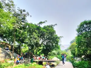 Khu du lịch Sinh thái Suối Mỡ