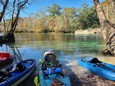 Cypress Spring