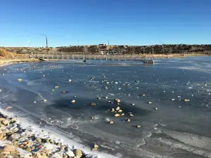Tiger Pond