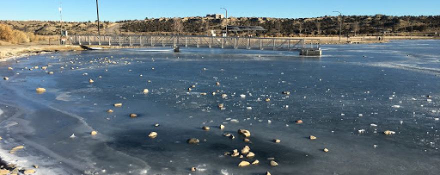 Tiger Pond