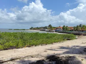 Praia de Unicamping
