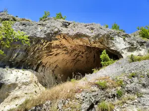 Gouk In cave
