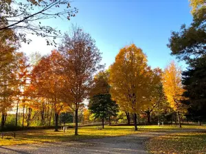 Countryside Campground and Cabins