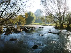 Riv River