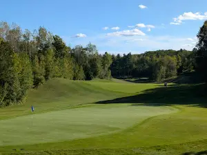 Big Fish Golf Club
