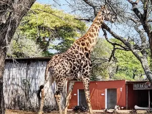 Ndumo Game Reserve