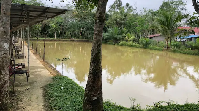 GALATAMA BAWAL CITALING SANGGAU