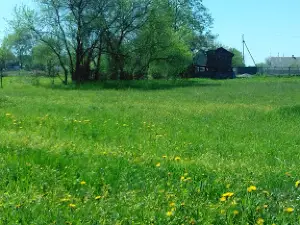 Stadion Chyzhivka