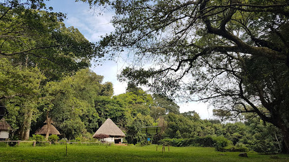 Chipinge