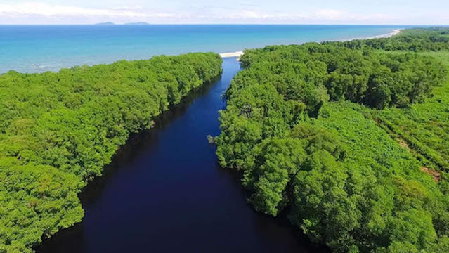Cacao jutiapa Atlantida