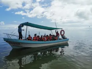 Marbella Tours Isla Aguada