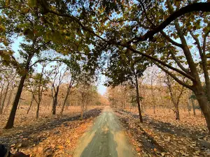 Mathani Gate, Tipeshwar Wild Life Sanctuary