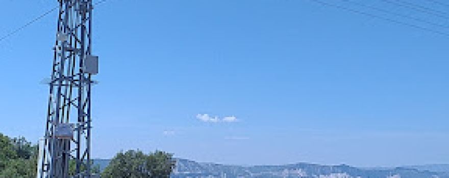 Dağyalankoz
