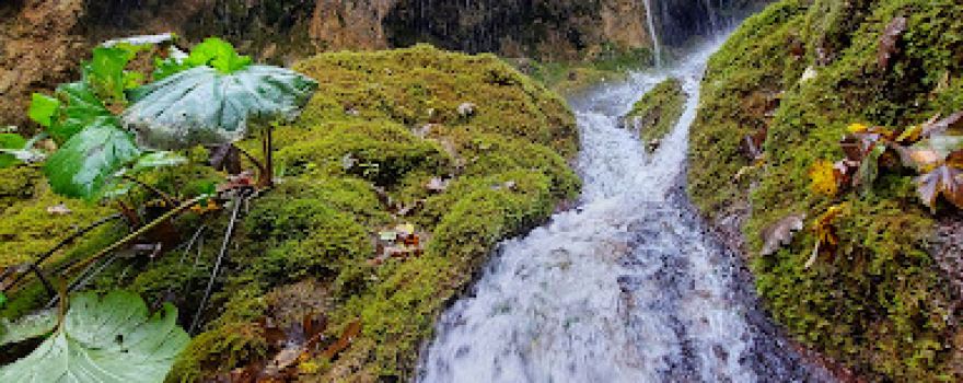 Șipote Waterfall - the bottom