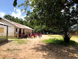 Ilha de Orango