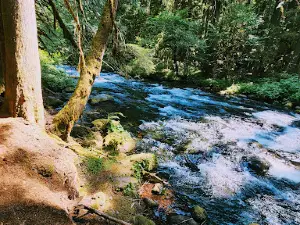 Bigelow Hot Springs