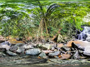 Biological Reserve Saltinho