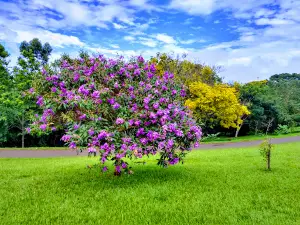 Parque Zezão