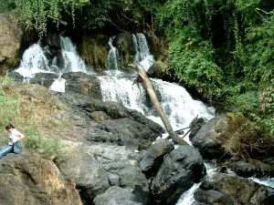 Tham Pla - Namtok Pha Suea National Park