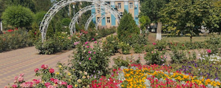 Центральный парк